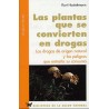 LAS PLANTAS QUE SE CONVIERTEN EN DROGAS