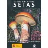MANUAL PARA BUSCAR SETAS