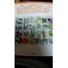 LAS PLANTAS MEDICINALES