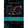 DVD CORAL REEF AQUARIUM