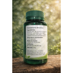 ASHWAGANDHA KSM 66 60 CAPS NATURA CENTER